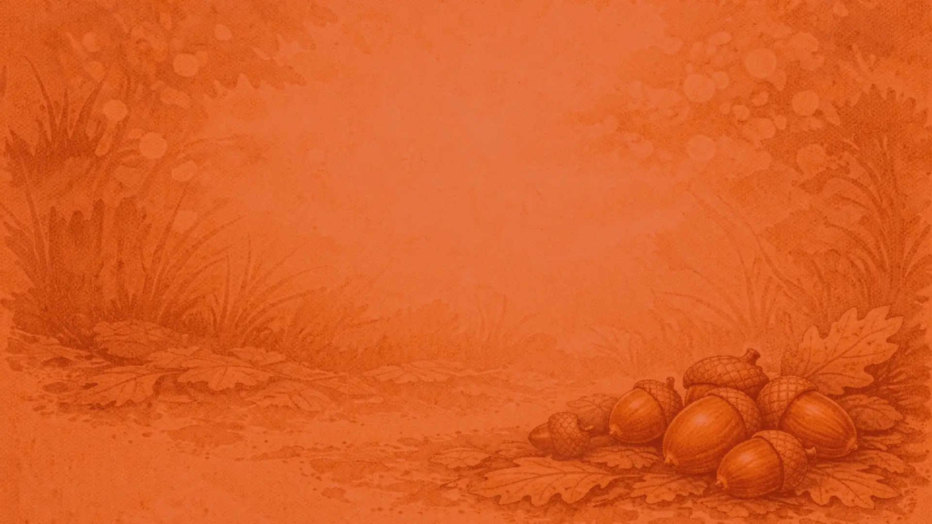 Immagine rappresentativa del contenuto